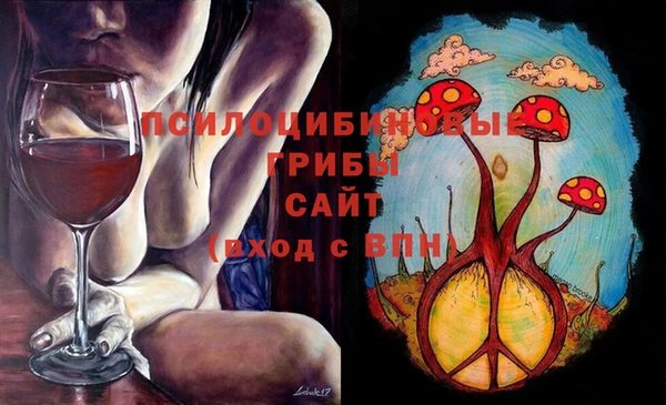 мдпв Корсаков