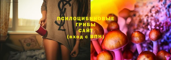 spice Коряжма