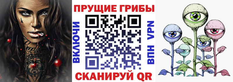 Купить  Любань  Галлюциногенные грибы MAGIC MUSHROOMS 