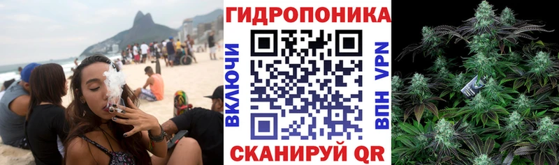 Бошки Шишки планчик Любань
